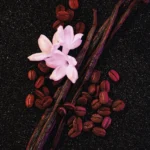 YVES SAINT LAURENT — Black Opium - Image 3