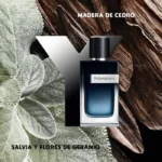 YVES SAINT LAURENT — Y - Image 4